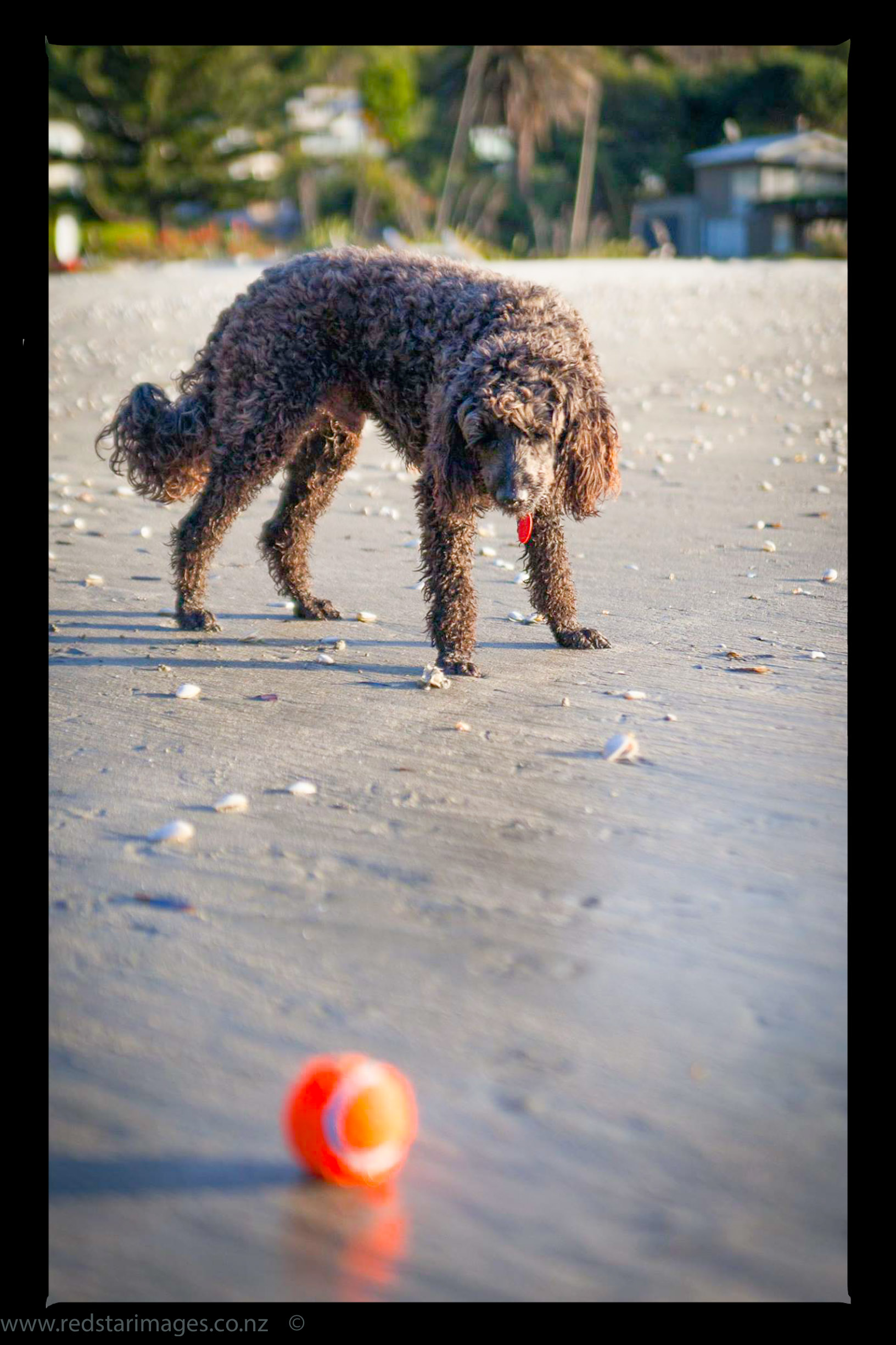 10499622_265593650290899_661595515193973756_o