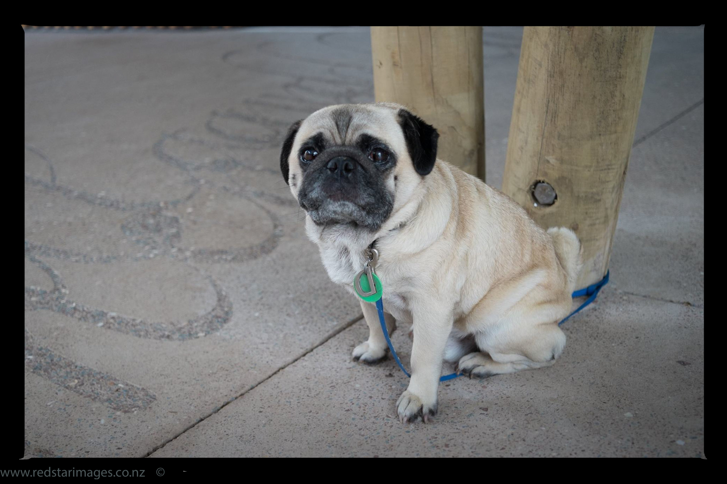 10847472_331874090329521_5018174661834122235_o