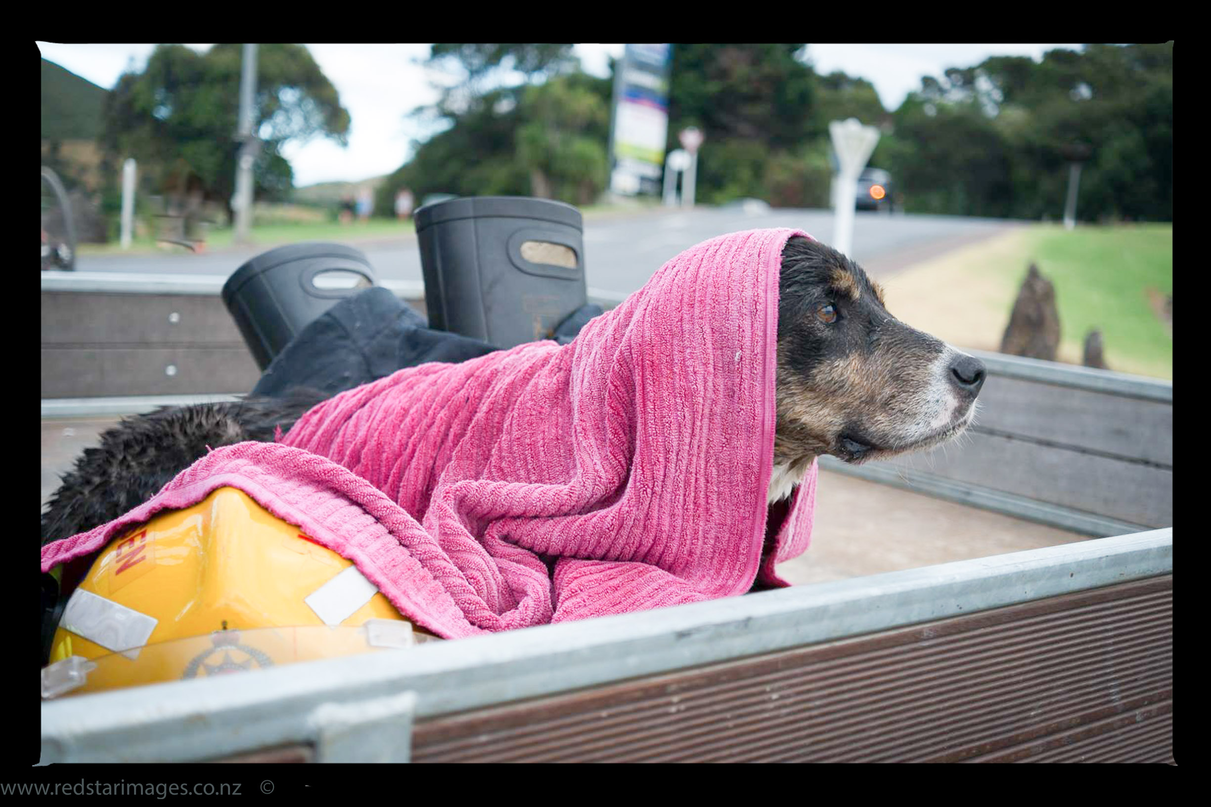 10945802_337405703109693_2981095922102118370_o