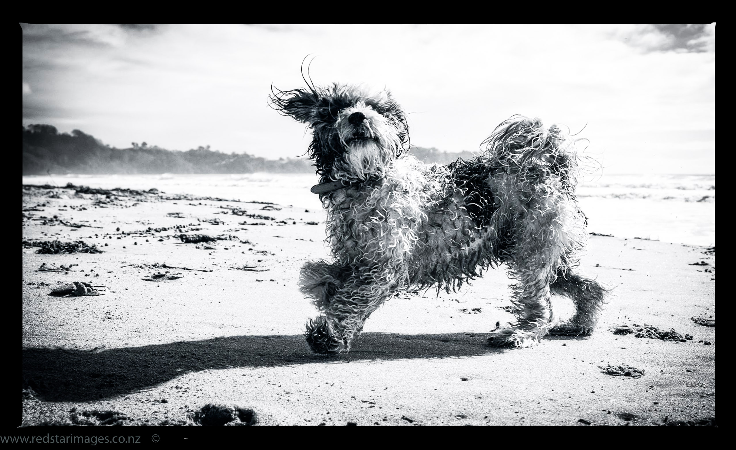 11224186_402243933292536_2286644306771078837_o