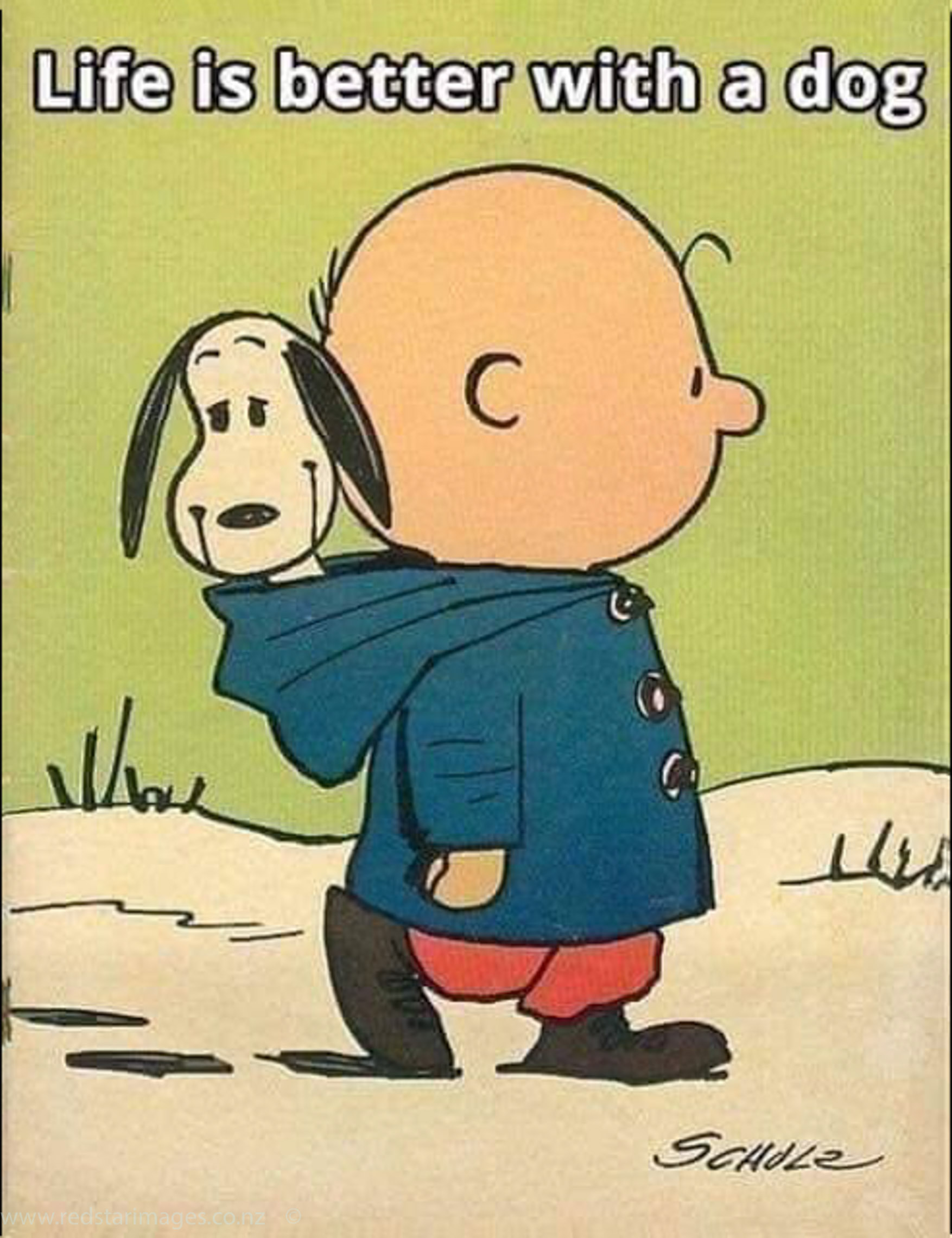 73399875_1449332145217342_5114870097470554112_n