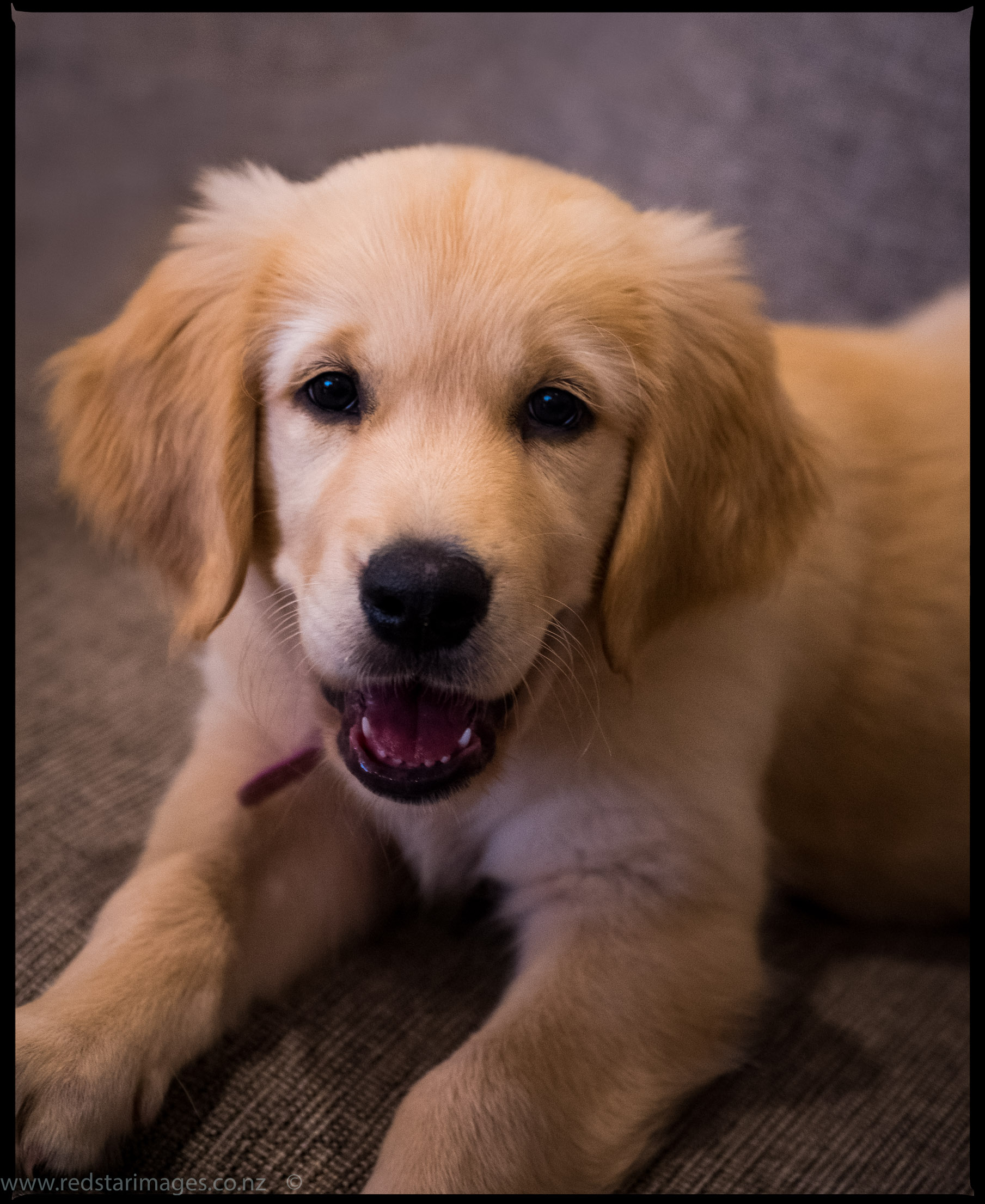 DSCF2540-Edit-2-Edit